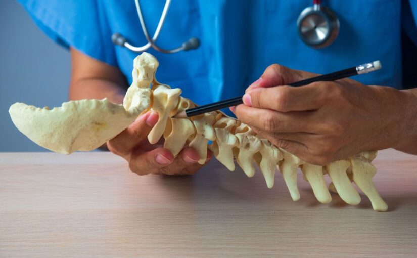An Overview of the Different Types of Chiropractic Care